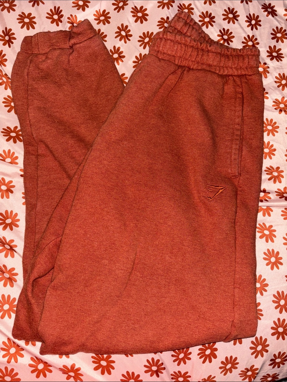 Gymshark Rust Orange Jogger Pants